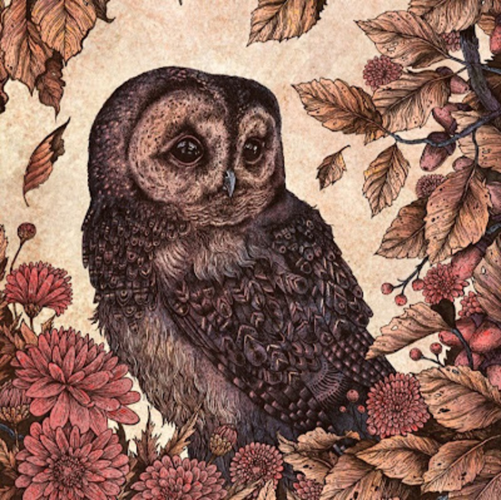 Meet your Posher, Salwa